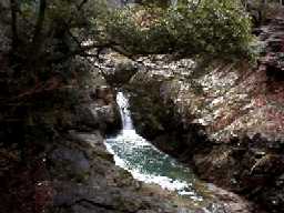 ���ϐ����o���̑�