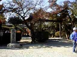 ���ԏ���