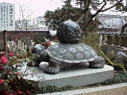 �����_�}�j�R��