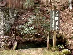 �C�{���̐�