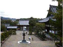 ���q�_�������]��