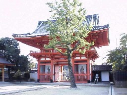 本堂より山門を望む