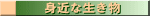 �g�߂Ȑ���