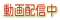 ����z�M��