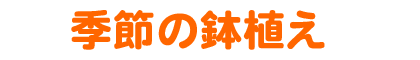 �G�߂̔��A��