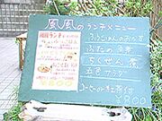 風風6