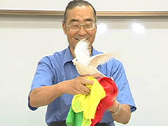 鳩