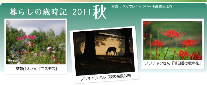 炵̍ΎL2011H