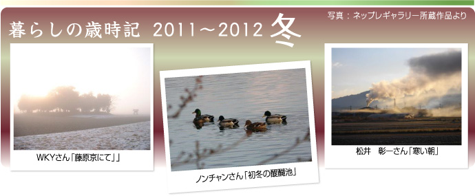 炵̍ΎL2011H