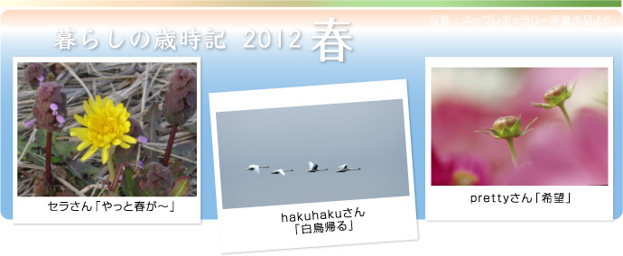炵̍ΎL2012t