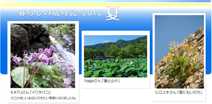 炵̍ΎL2012