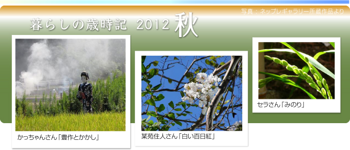 炵̍ΎL2012H