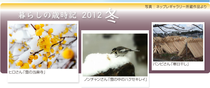 炵̍ΎL2012H