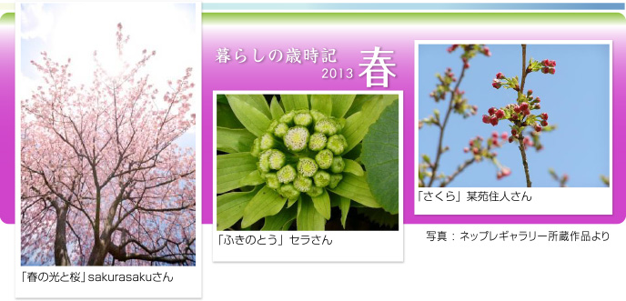 炵̍ΎL2012t