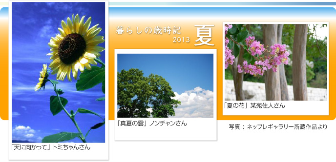 炵̍ΎL2013