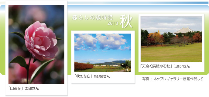 炵̍ΎL2013H