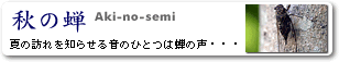 H̐