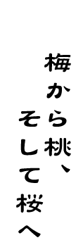 ~瓍Ač