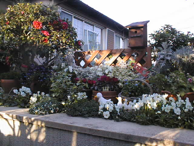 flower