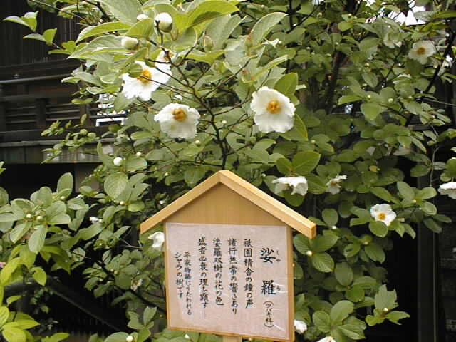 yatatemple