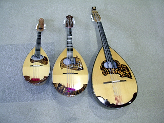 P1010002.jpg