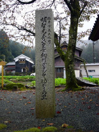 P1010002.jpg