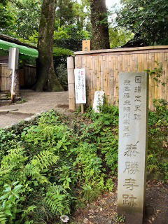 P1010002.jpg