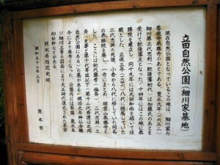 P1010002.jpg