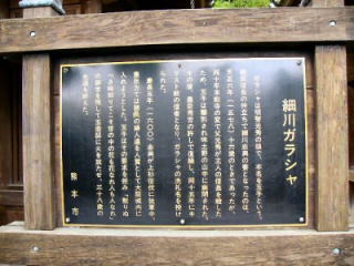P1010002.jpg