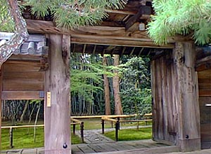 P1010002.jpg