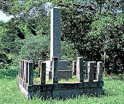 P1010002.jpg