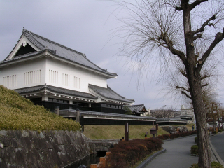 P1010002.jpg