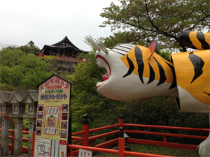 第７分科会『信貴山　朝護孫子寺と信貴山城跡』朝護孫子寺と信貴山城跡見学ツアー