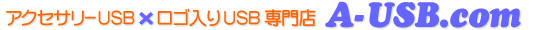 �A�N�Z�T���[�����S����USB��������A-USB.com