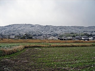 奈良百遊山-2