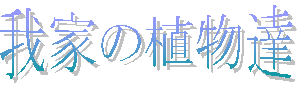 ��Ƃ̐A���B