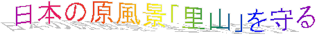 ���{�̌����i�u���R�v�����