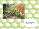 4 �y�[�W