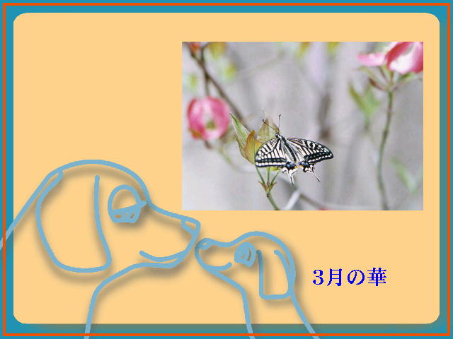 3�y�[�W