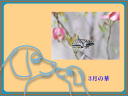 3 �y�[�W