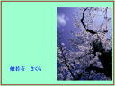 4 �y�[�W