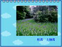 5 �y�[�W