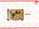 3 �y�[�W