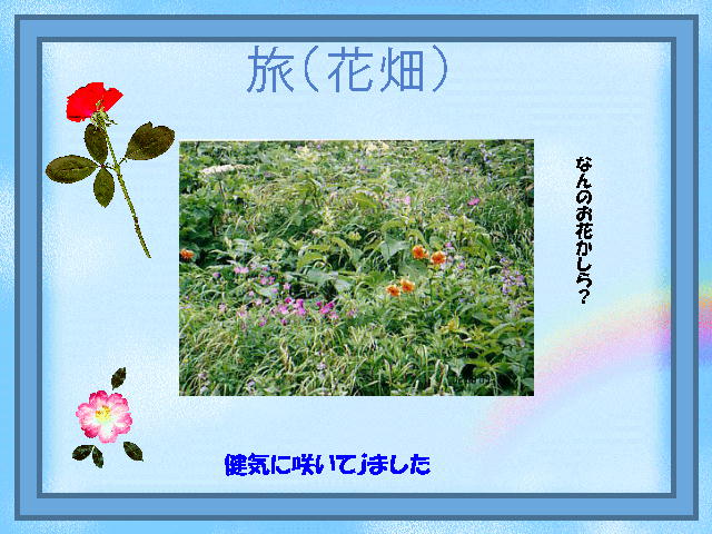 5�y�[�W