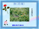 5 �y�[�W