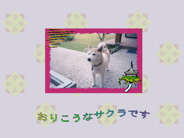 6�y�[�W