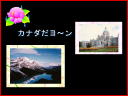 5 �y�[�W