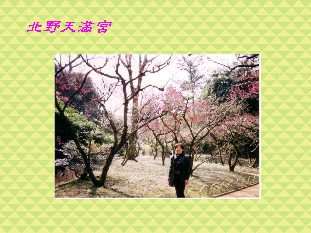 1�y�[�W