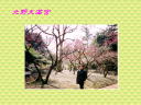 1 �y�[�W