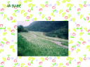 2 �y�[�W